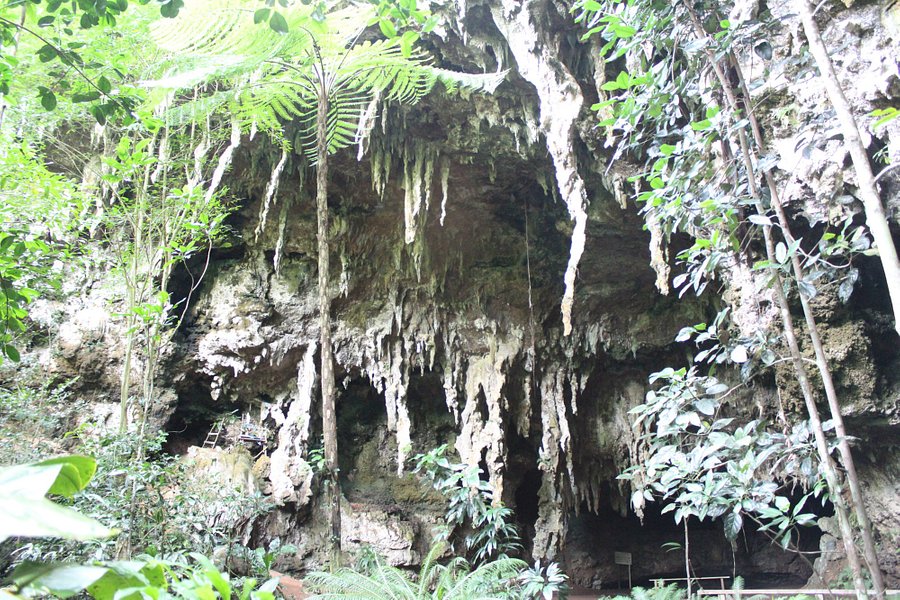 Grotte de Hortense image