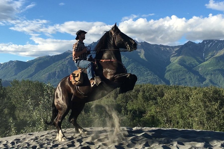 Alaska Horse Adventures image