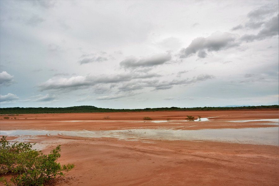 Sarigua National Park image