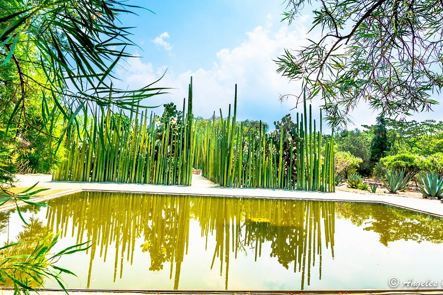 Jardin Etnobotanico de Oaxaca image