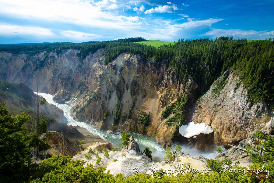 Grand Canyon of the Yellowstone image