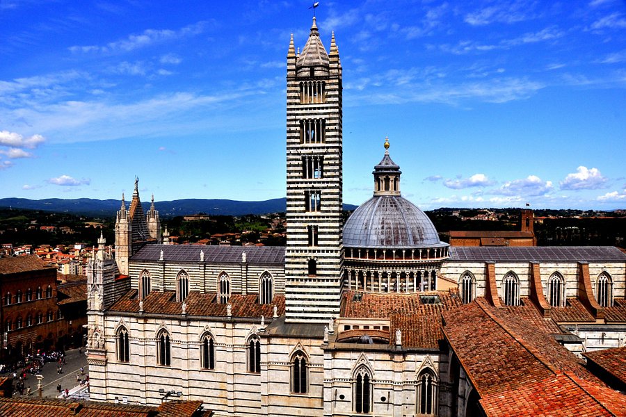 Duomo di Siena image