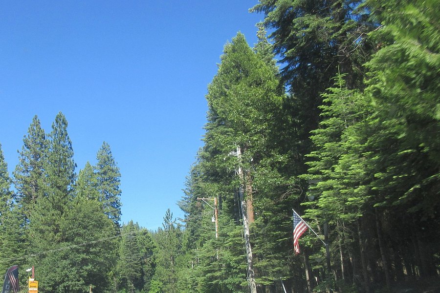 Stanislaus National Forest image