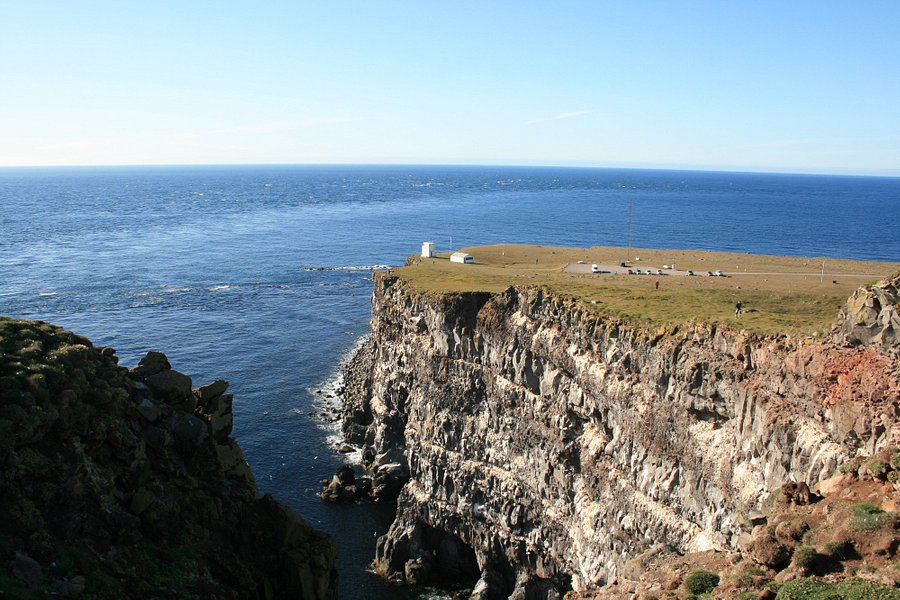 Latrabjarg bird cliffs image