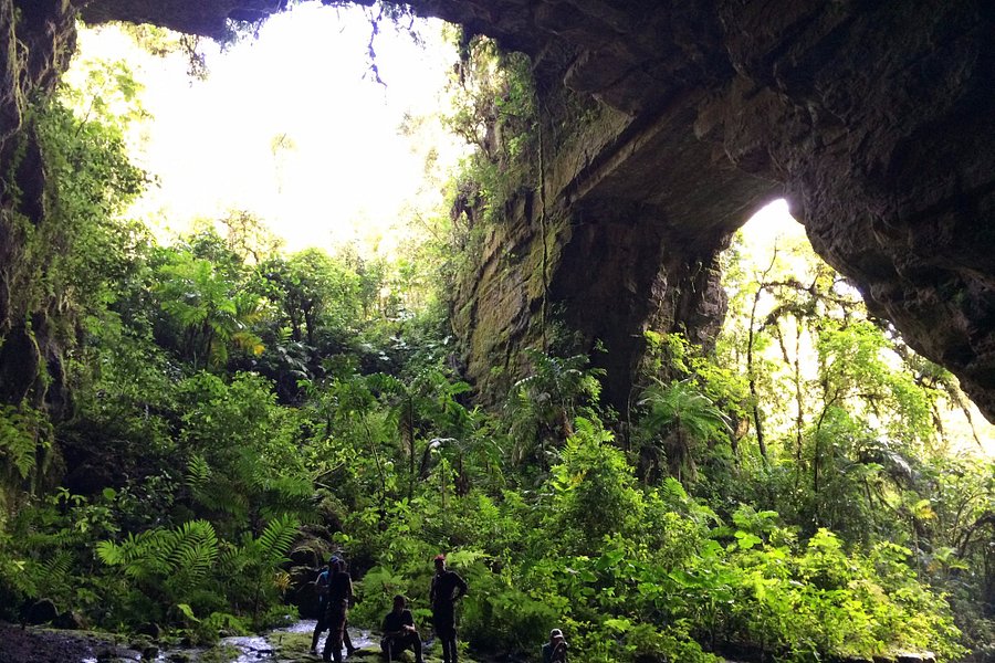 Parque Nacional Natural Cueva de los Guacharos image