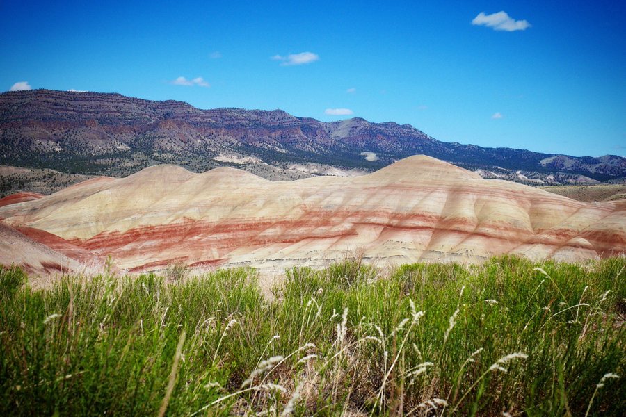 John Day Fossil Beds National Monument, Painted Hills Unit image