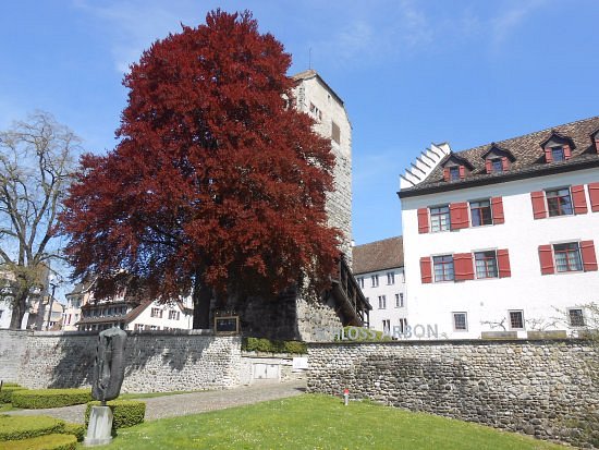 Schloss Arbon image