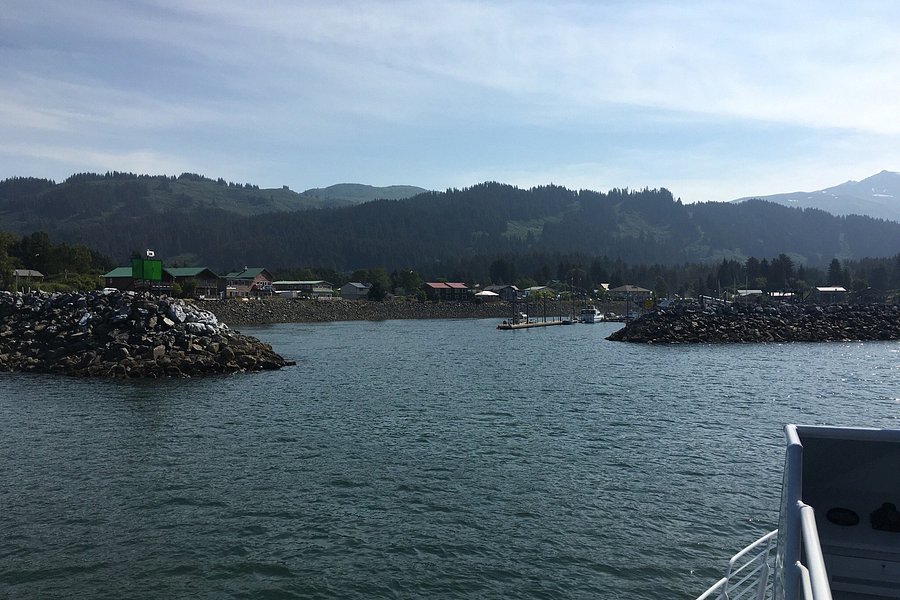 Seldovia Bay Ferry image