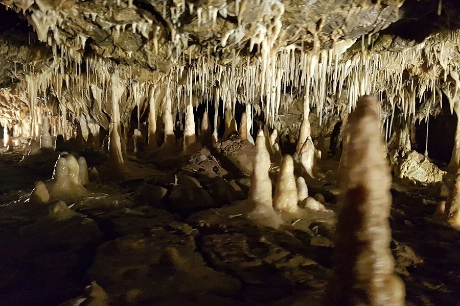 Vazecka Cave image
