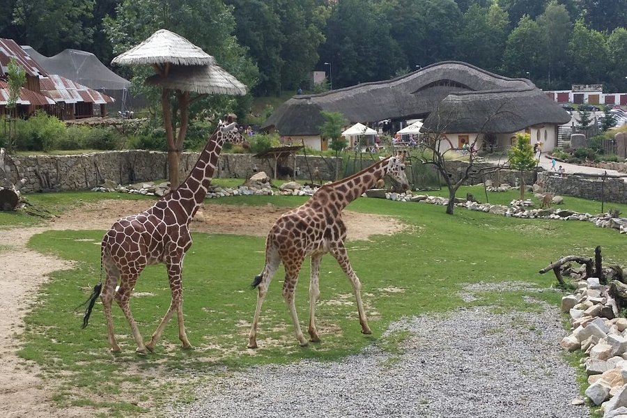 Zoo Jihlava image