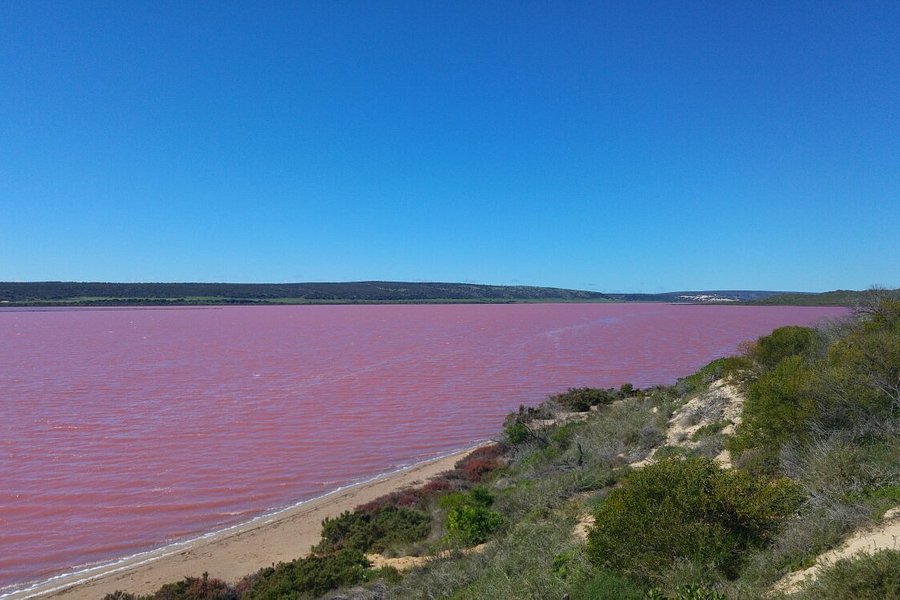 Pink Lake image