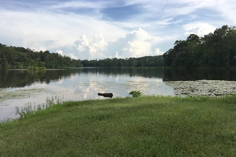Payne Lake Recreation Area image