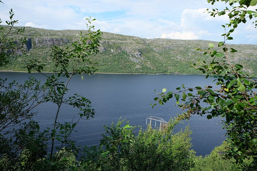 Pasvik Nature Reserve image