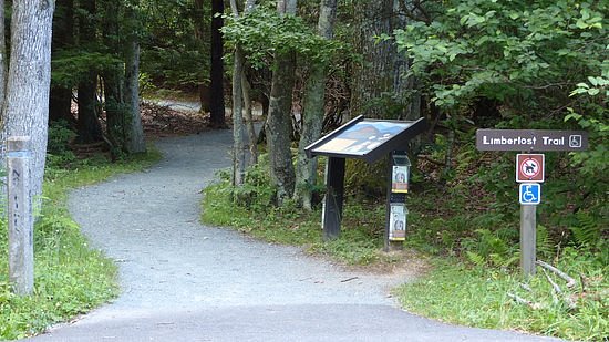 Limberlost Trail image