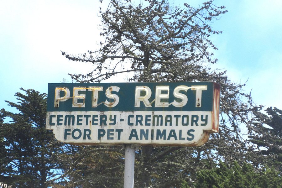 Pet's Rest Cemetery image