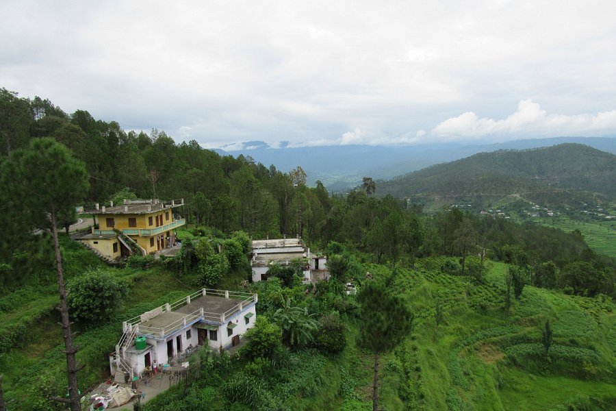 Kasauni Tea Estate image