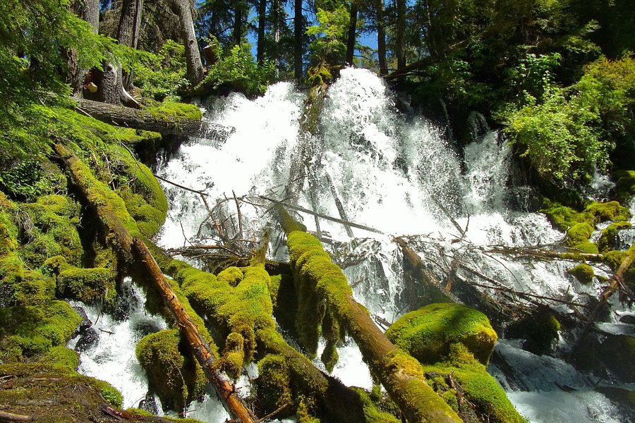 Clearwater Falls image