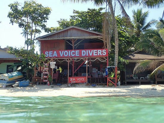 Sea Voice Divers image