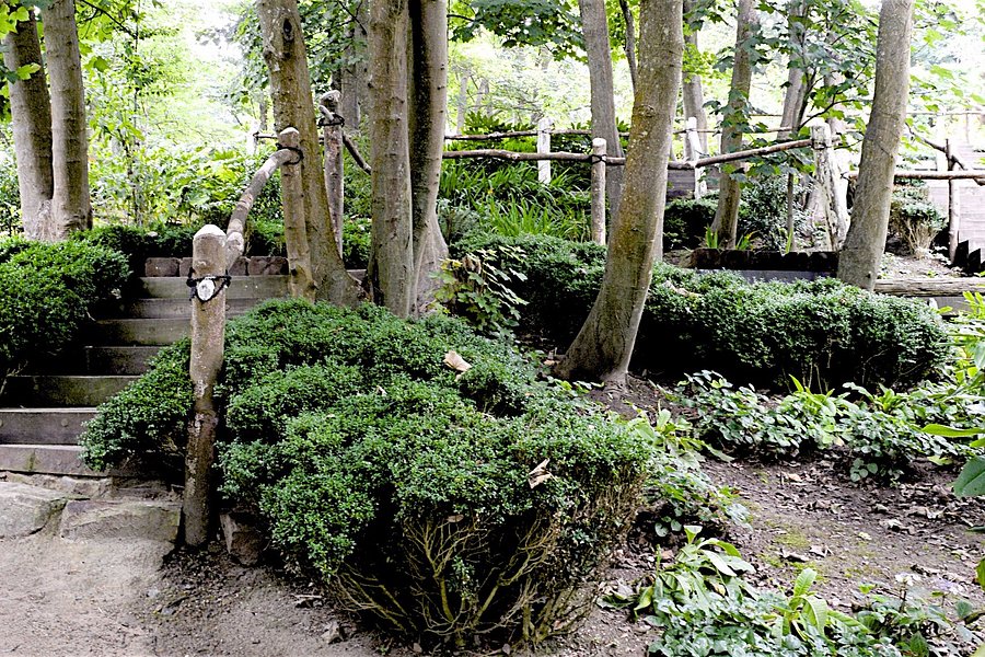 Lafcadio Hearn Japanese Gardens image