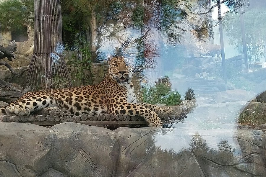 Safari Park image