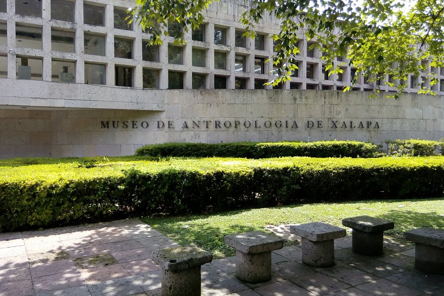 Museo de Antropología de Xalapa image
