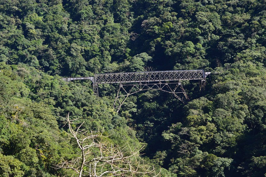 Ponte São João image