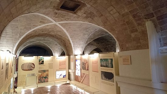 Museo del Vino image