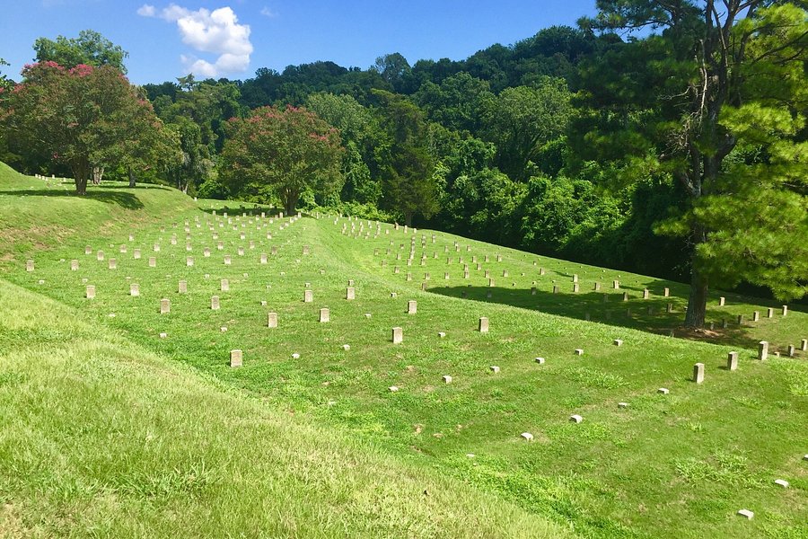 Vicksburg National Cemetery image