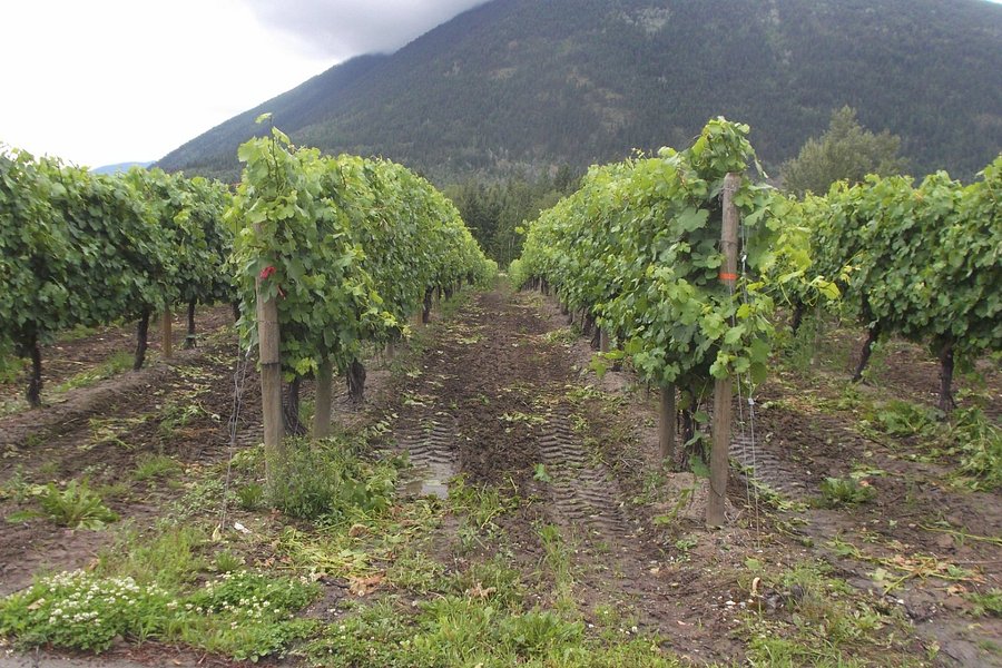 Recline Ridge Vineyard & Winery image