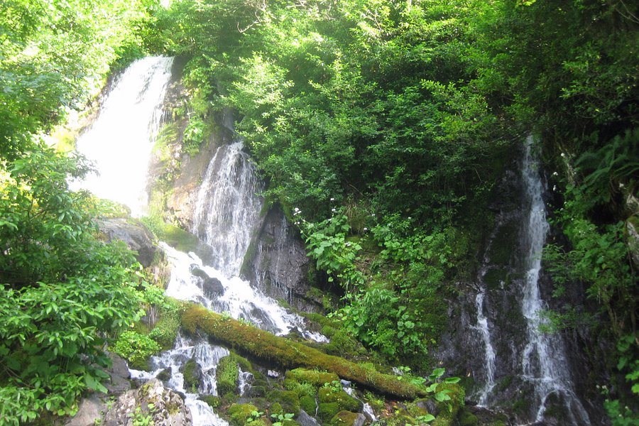 Waterfall Ptichiy Klyuv image