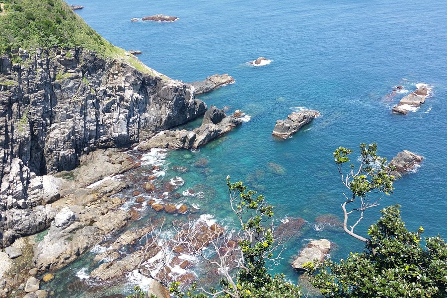 Cape Ashizuri image