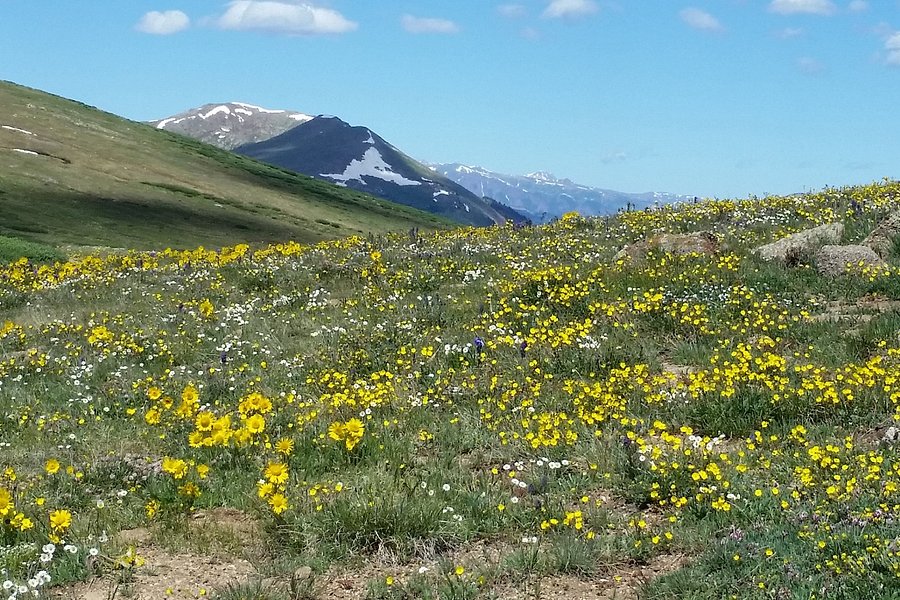 Independence Pass image