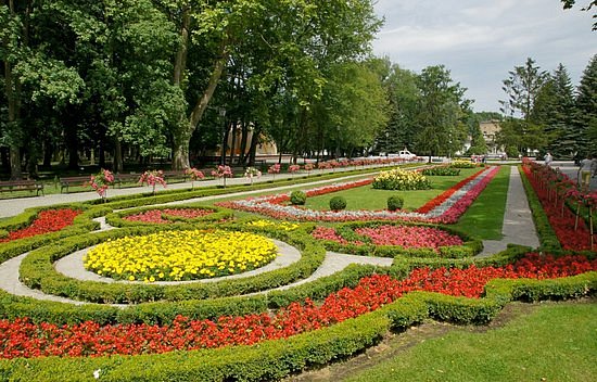 Solankowy Park image