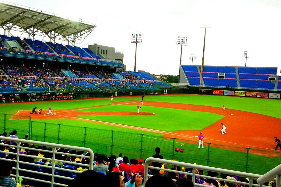 Taoyuan International Baseball Stadium image
