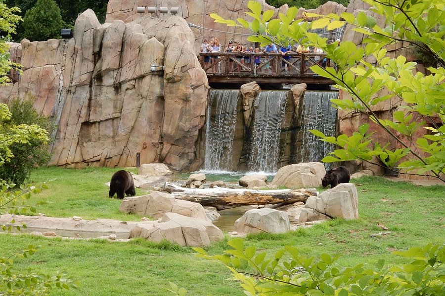 Memphis Zoo image