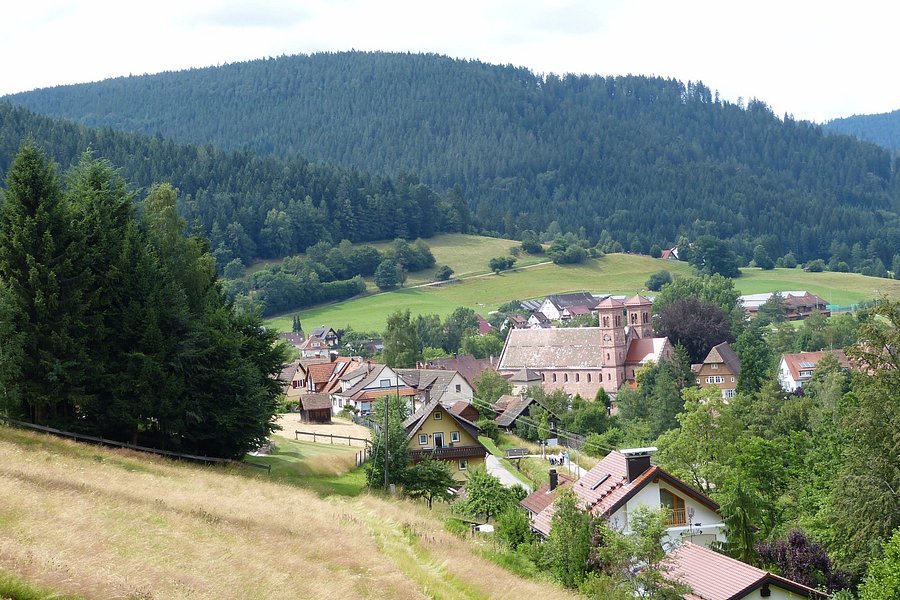Kloster Reichenbach image