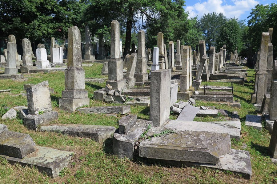 Moinesti Jewish Cemetery image
