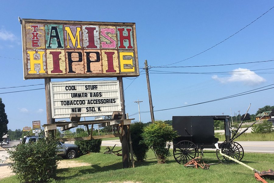 The Amish Hippie image