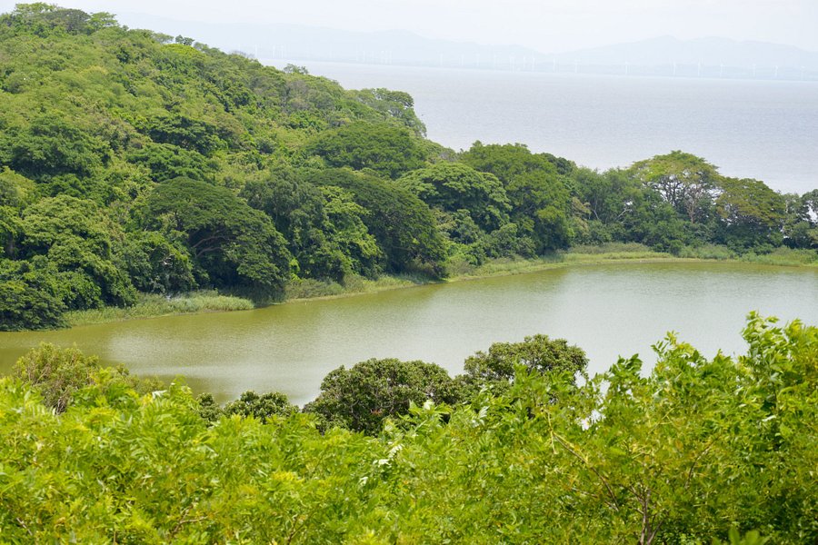 Laguna Charco Verde image