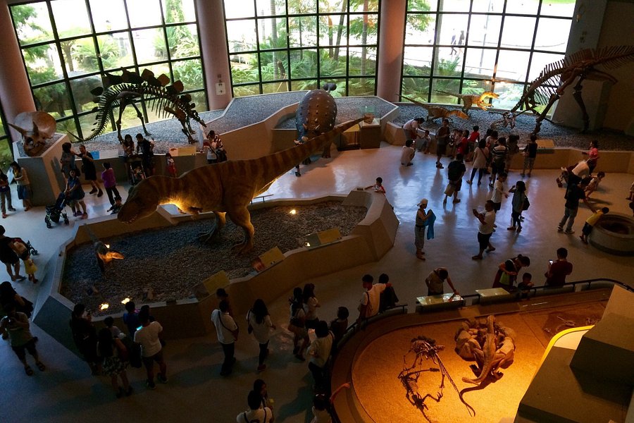 National Museum of Natural Science image