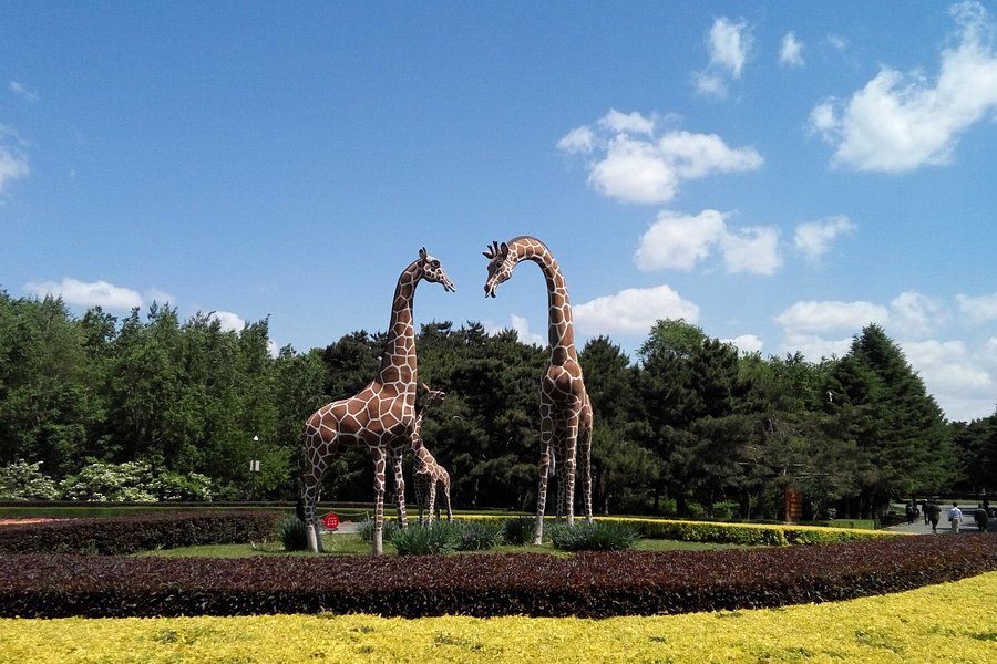 Zoological and Botanical Garden of Changchun image