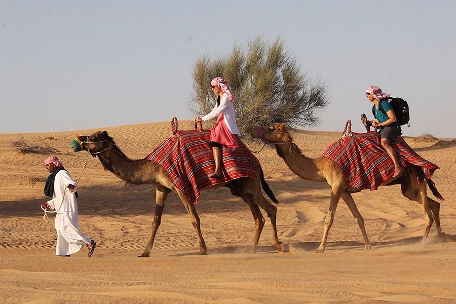 Things to Do in Emirate of Dubai image