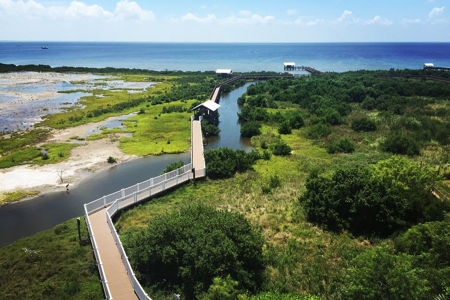South Padre Island Birding and Nature Center image