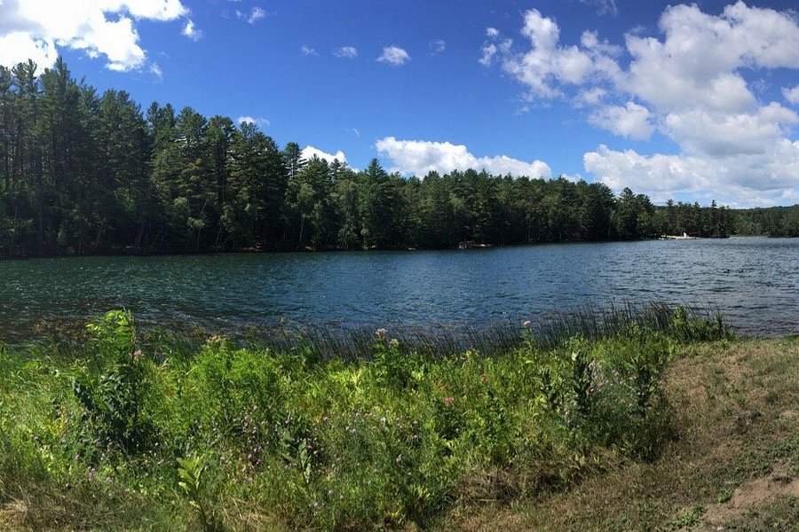 Minerva Lake image