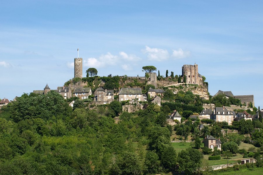Château de Turenne image