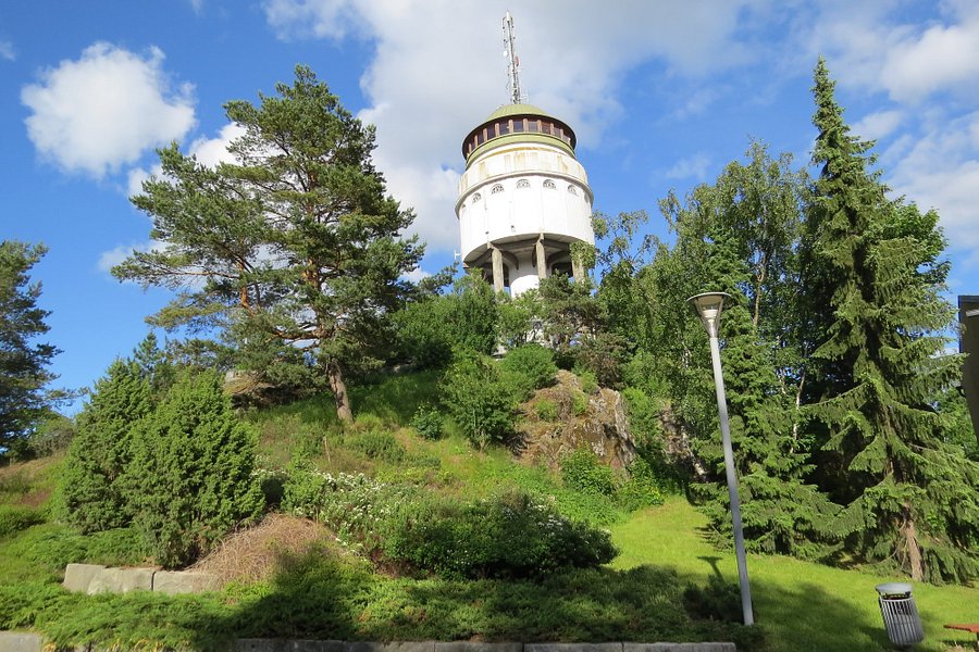 Naisvuori Observation Tower image