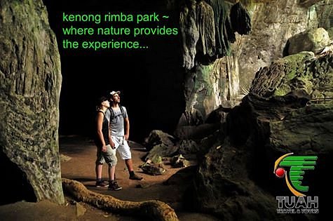 Kenong Rimba Park image
