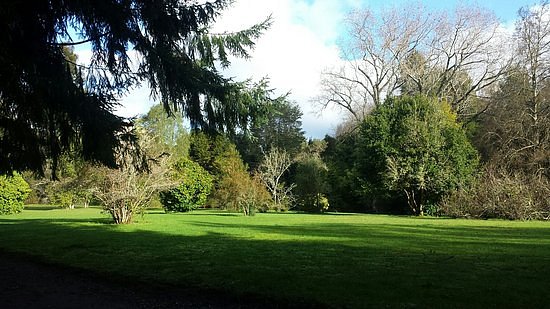 Jardin Botanico de la Universidad Austral de Chile image
