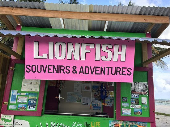 Lionfish Souvenirs and Adventures image