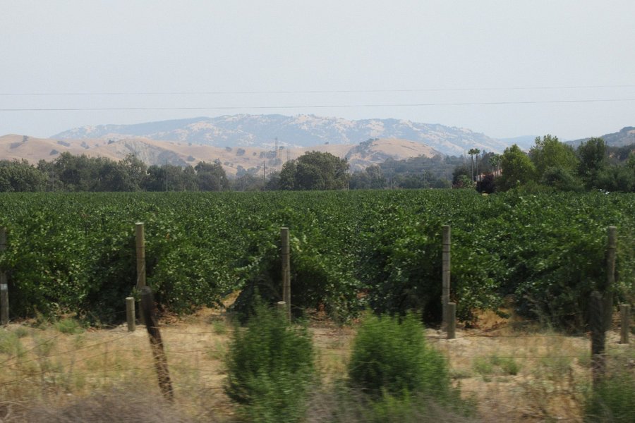 Livermore Valley image